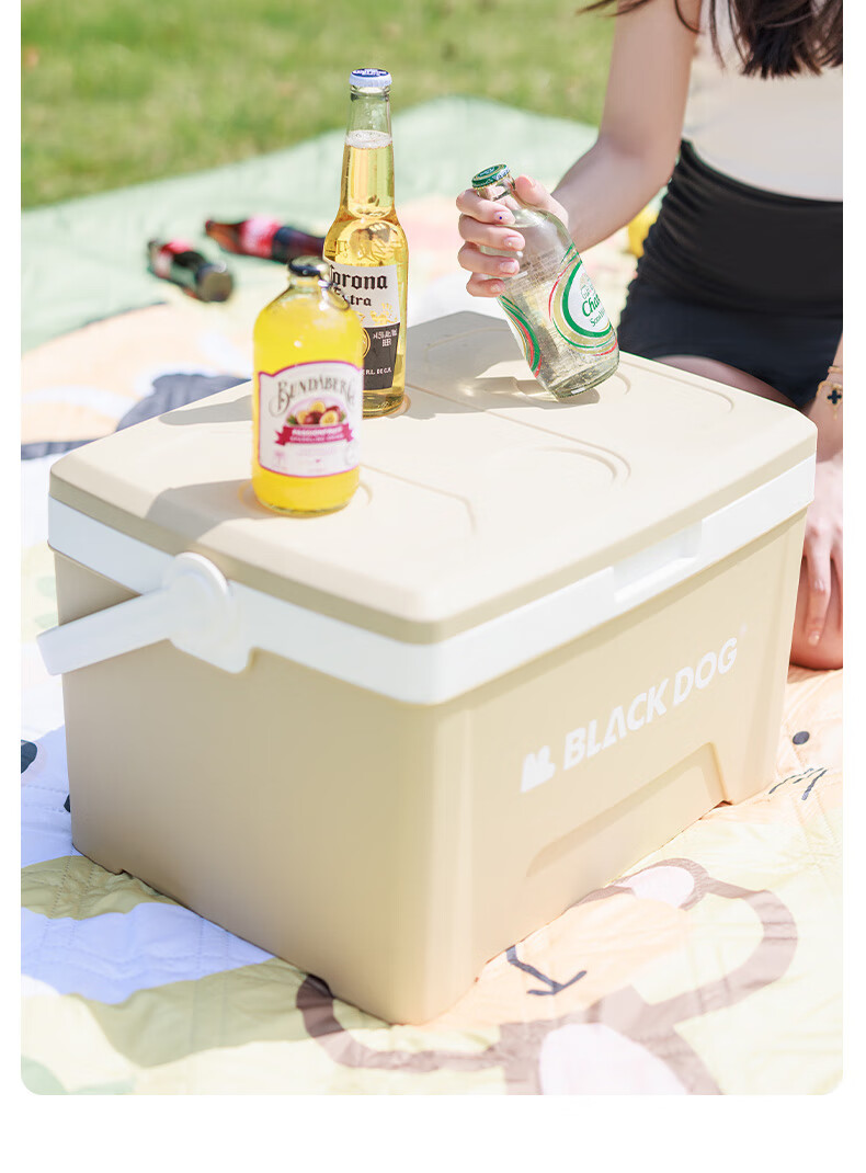 Black Dog Outdoor Cooler Box for Camping, Picnic, Cold Storage, Food Preservation, Takeout And Fishing, 25L Night Black 27