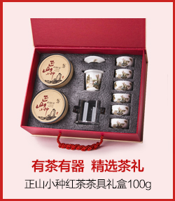 茶人岭 茶叶  茶叶红茶礼盒 正山小种武夷红茶茶叶100克 ...