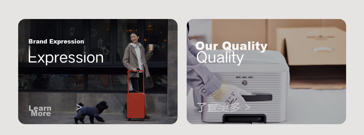Tujia TUPLUS Balance Series Travel Suitcase, Center-Wheel Wide Handle Luggage, Large Capacity Suitcase, Cool Gray-Green, 24 Inches 1
