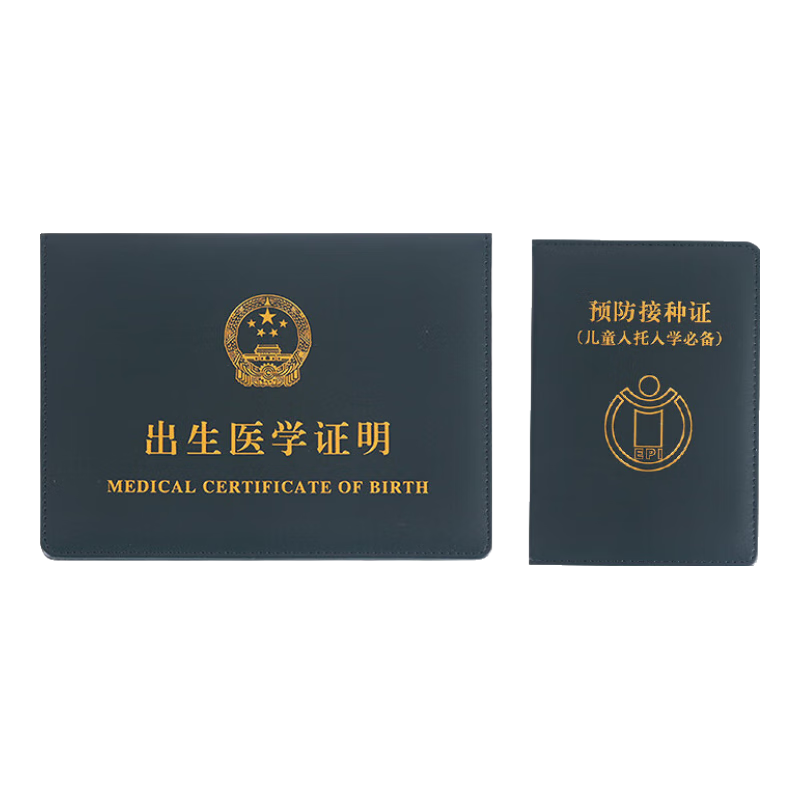 Siyicai Birth Certificate Protector + Vaccination Record Cover, Baby Medical Document Sleeve (Set of 2), Classic Thickened, Dark Gree