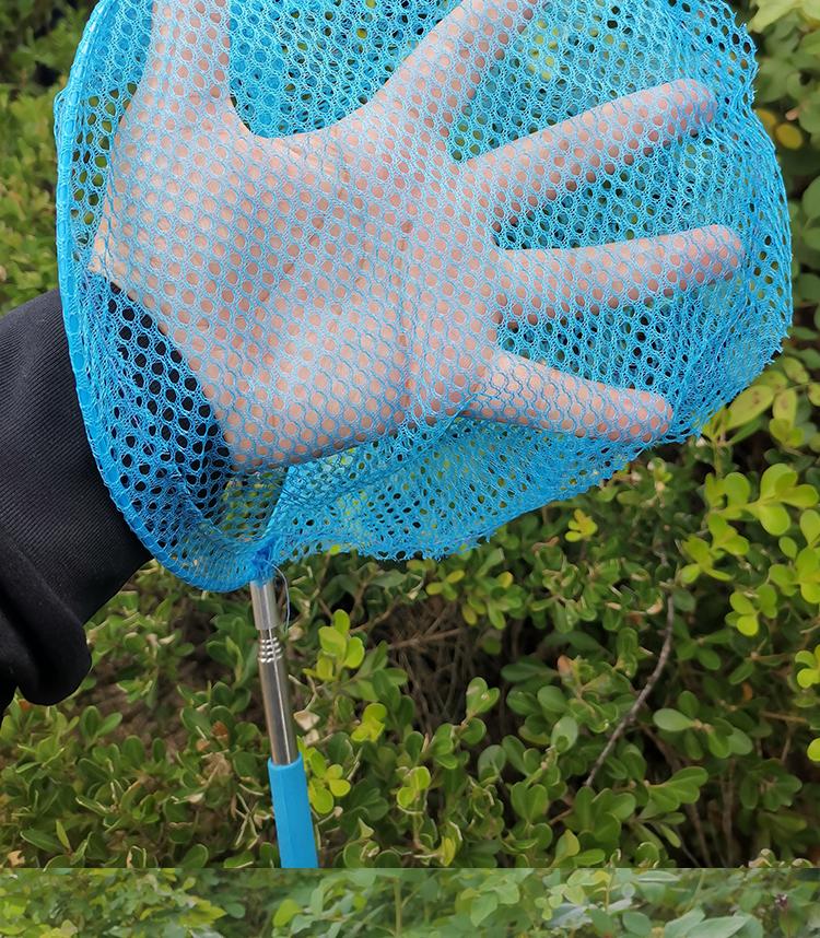 Feimiao Children's Fishing Net, Butterfly Net for Kids, Insect Net, Retractable Fishing Net with Handle, Foldable Small Bucket, Outdoor Fishing Tackle, Fishing Net Toy Combination Set 12