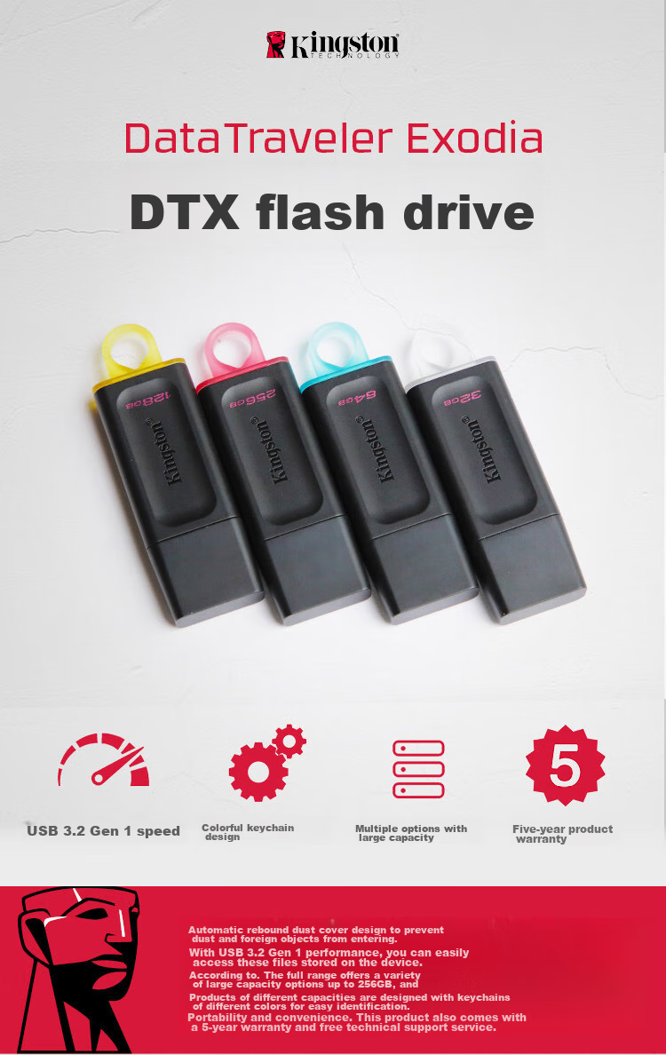 Kingston 256GB USB3.2 Gen 1 Flash Drive DTX High-Capacity USB Drive Stylish Design Lightweight Portable for Study, Office Work, Bidding, Computer And Car Use 2