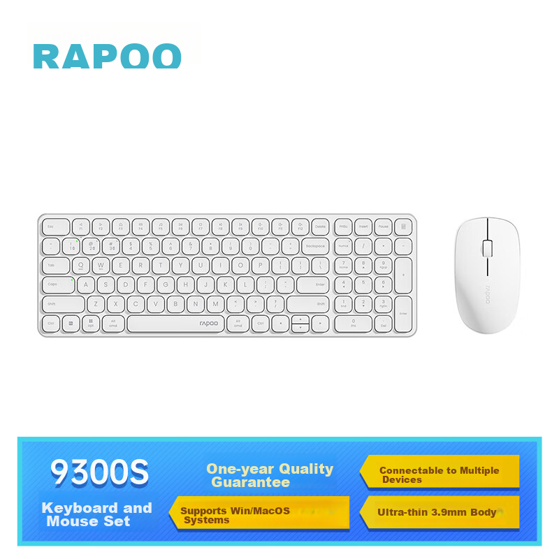Rapoo (Rap-0141090
