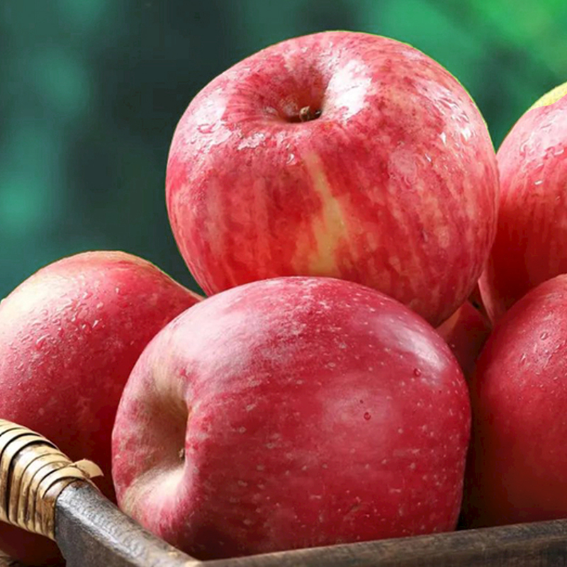 京鲜生 栖霞红富士苹果 净重6.4斤 单果230g+ 生鲜水果