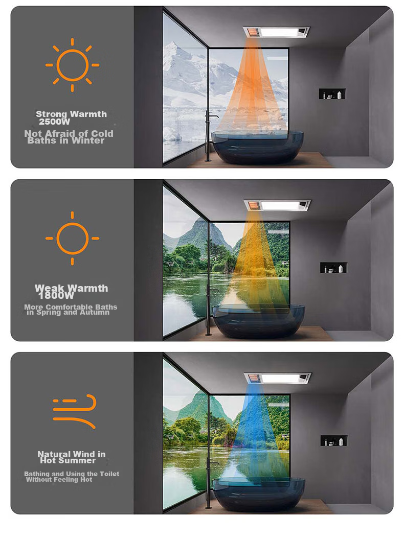 YOUPON (YOUPUN) Bathroom Heater with Integrated Heating, Lighting And Exhaust Fan, Ultra-Thin Minimalist Design, Dual Motor High-Power DZ020 5