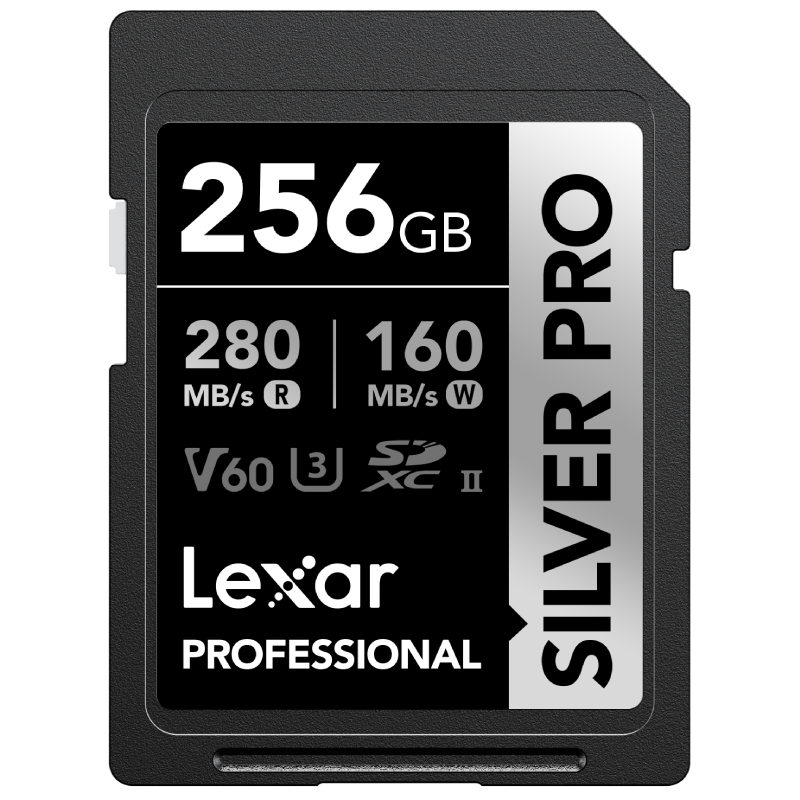 Lexar 256GB SD Memory Card, C10 U3 V60 4K Camera Memory Card, Read 280MB/s Write 160MB/s, Capture Light And Shadow (1667x Upgraded Version)