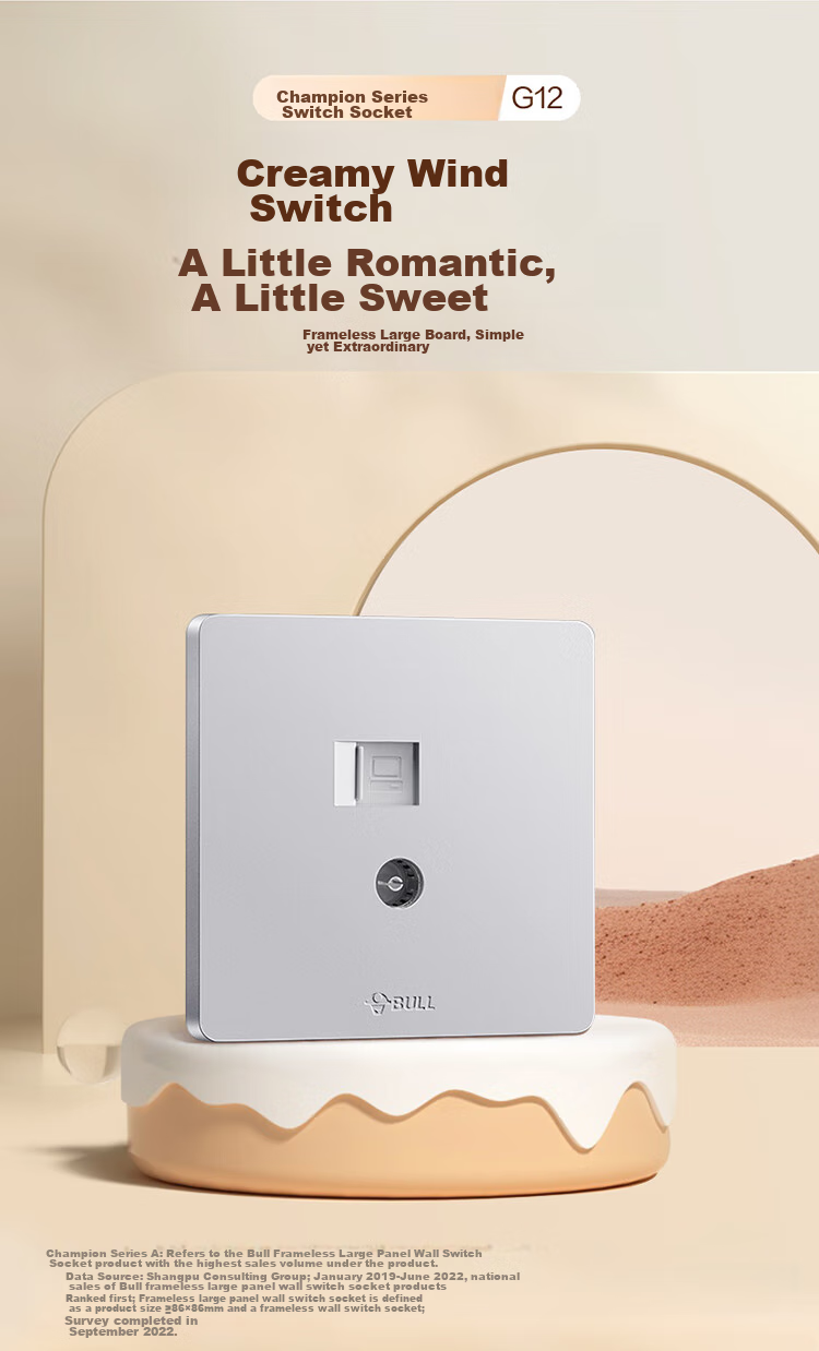 BULL Switch Socket Two-Position Computer with TV Six-Category Socket G12T223B Cream Style Space Silver 1