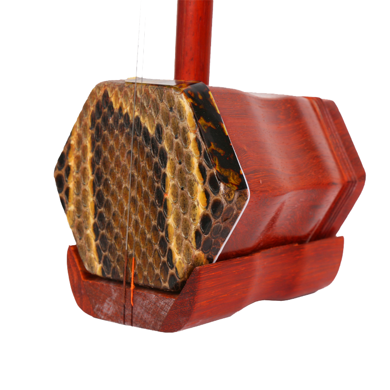 HongYiFengMing Rosewood Erhu for Beginners' Practice, Handcrafted Python Skin Hexagonal Erhu with Adjustable Bridge, Traditional Chinese Musical Instrument
