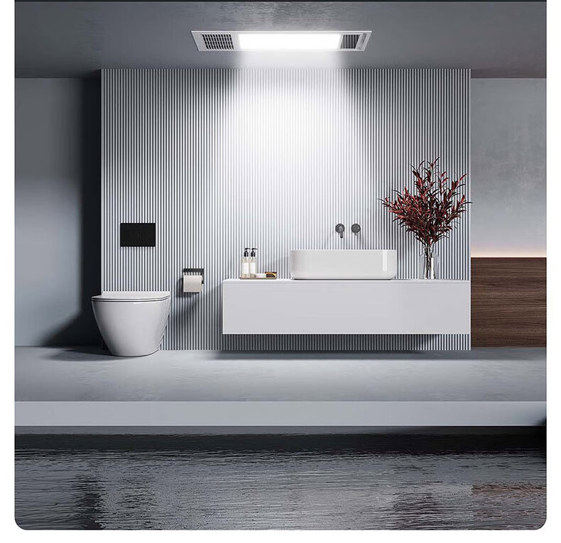 YOUPON (YOUPUN) Bathroom Heater with Integrated Heating, Lighting And Exhaust Fan, Ultra-Thin Minimalist Design, Dual Motor High-Power DZ020 7