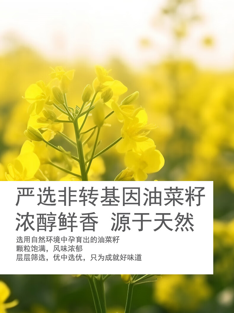 详情图.png