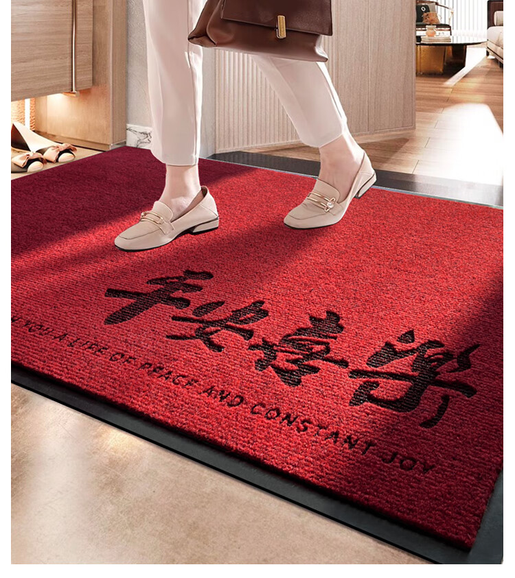 Bodisi High-End Entrance Door Mat Non-Slip Doorway Rug Outdoor Safety Floor Mat 90x60CM 13