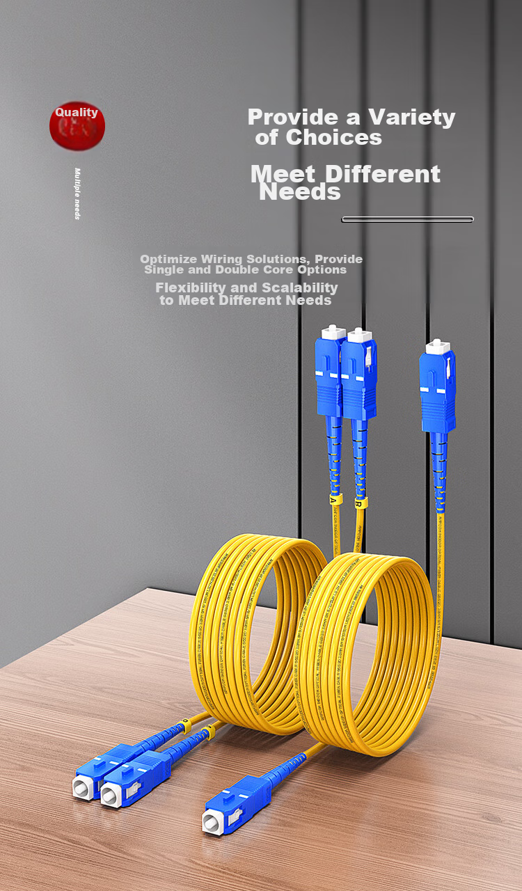 AMPCOM Fiber Optic Patch Cable SC-SC Telecom Grade 2.0mm Single-Mode Dual-Core Engineering 9/125μm Transceiver Pigtail Low Smoke Zero Halogen Indoor Cable 3 Meters ASM2SC2203 22
