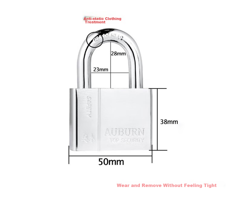 Aoben TSA Customs Lock, Password Lock for International Travel Luggage And Backpacks, Padlock 024 Gray 10