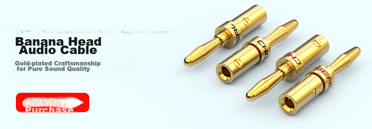 CHOSEAL Speaker Cable, Audiophile-Grade Pure Copper Audio Speaker Wire, Amplifier Connection, Shielded Anti-Interference 50-Core Gold And Silver Wire, 100 Meters, QS2240T100S 1