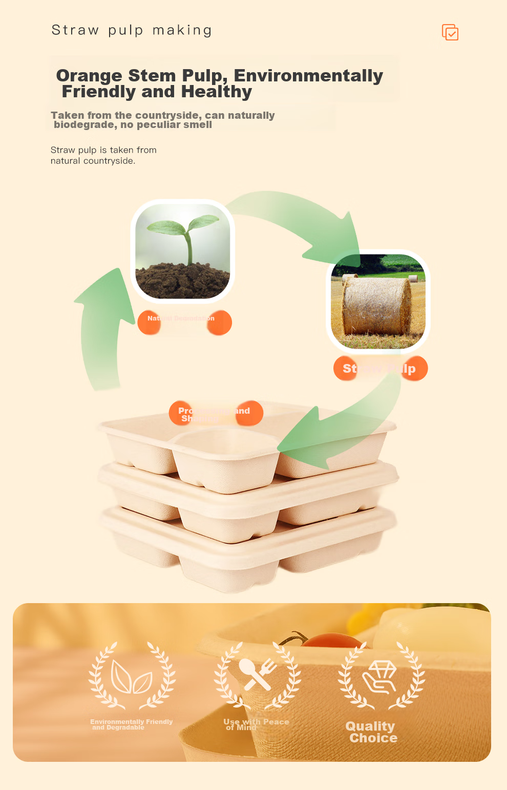 Youheyoumi Six-Compartment 1300ml*25 Sets Disposable Food Containers with Lids, Takeout Packaging, Multi-Compartment Lunch Boxes, Biodegradable Series 3