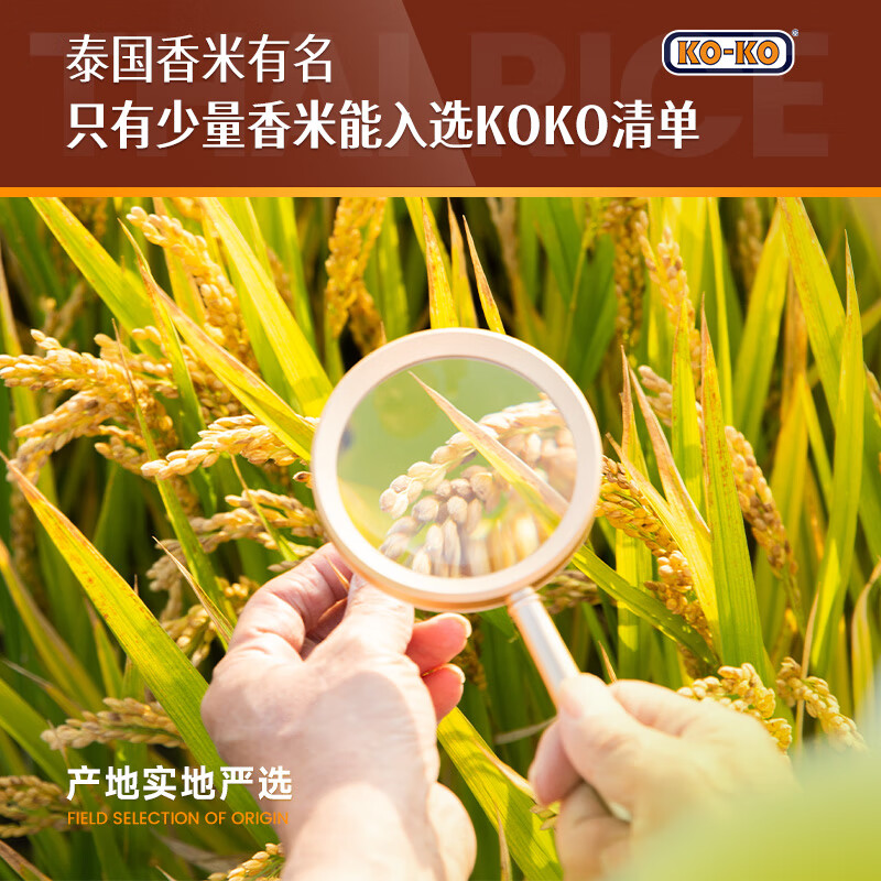KO-KO(口口牌) 泰国香米 大米20斤 原装进口 长粒米 koko泰国香米