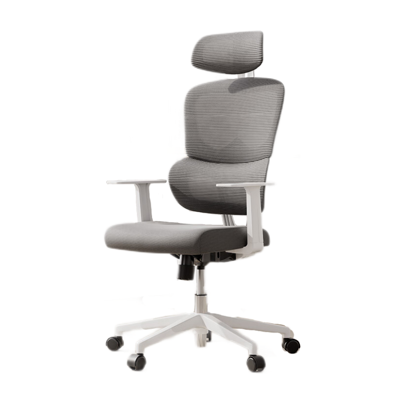 Deli Surfer Series Ergonomic Office Chair with 2D Headrest, Fixed Armrests, And 3D Lumbar Support, Gray