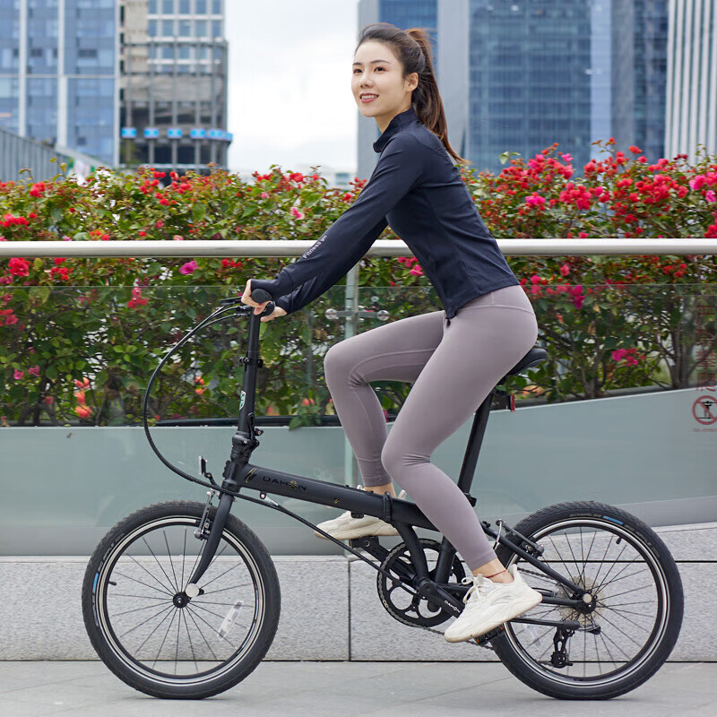 大行（DAHON）折叠自行车20英寸8级变速经典P8单车KBC083 黑色高配款-京仓