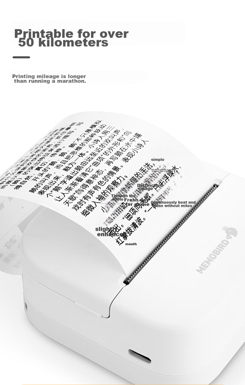 MEMOBIRD Teen Edition Error Correction Printer for Students' Course Tutoring And Learning, High-Definition Error Correction And Question Organization Tool, Classic White 12