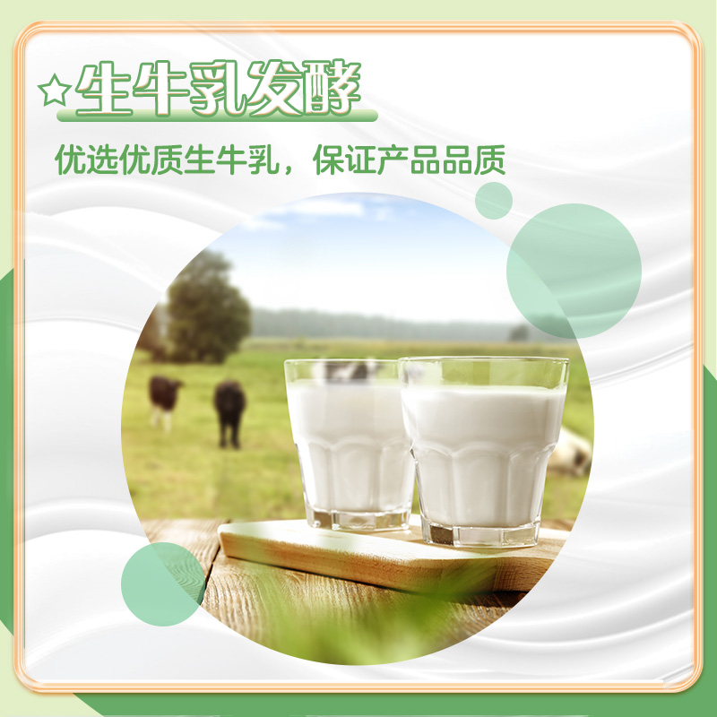 君乐宝 益生菌发酵乳 原味 1080g 低温生鲜酸奶 风味发酵乳