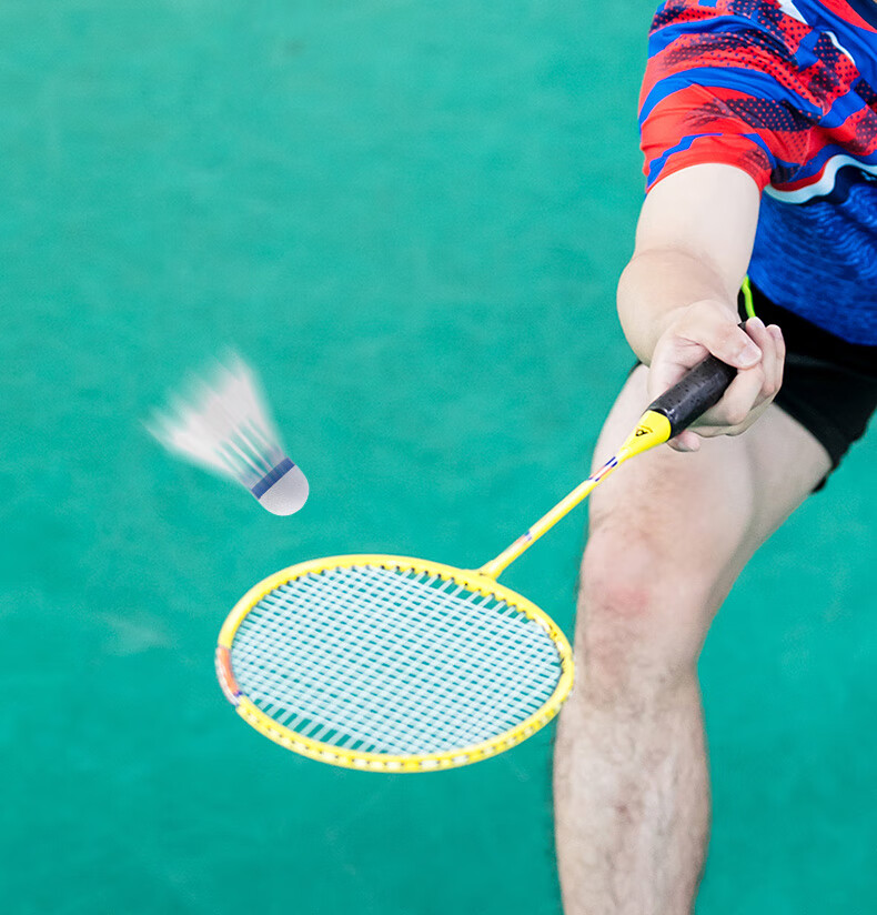 Deli Badminton Racket, Durable Basic Entertainment Wear-Resistant, Suitable for Beginners, Male And Female Players, Includes Three Shuttlecocks 11