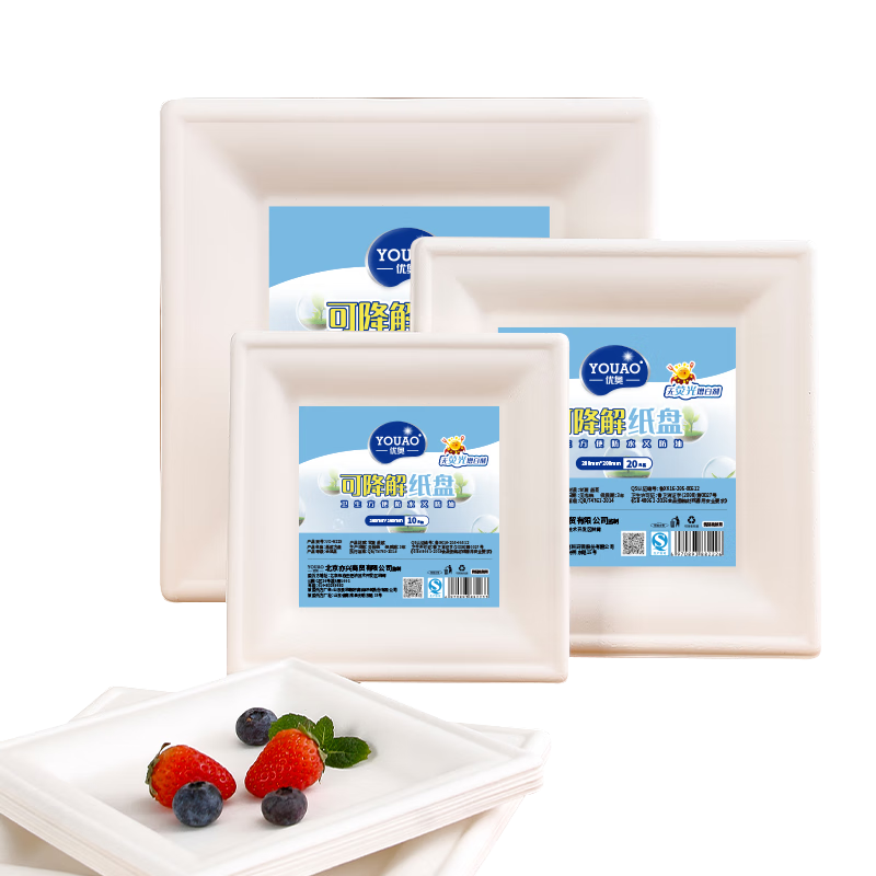 YOUAO Disposable Square Plates, 10 Inches * 10 Pieces, Large Size, Biodegradable Paper Plates, Waterproof And Oil-Proof, Washless Tableware Supplies