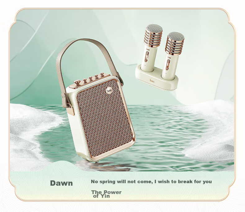 Divoom Bluetooth Karaoke Speaker with Microphone, Portable Outdoor Wireless Singing Mic for Home KTV, All-In Speaker System, Housewarming Gift for Girls And Teachers' Day Present 18