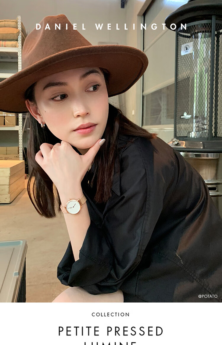 Daniel Wellington DW Women's Watch Light Luxury Golden Minimalist Quartz European and American Style Wristwatch Birthday Gift for Girlfriend DW447 1