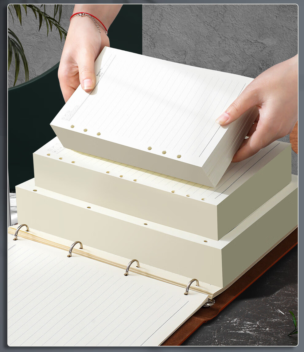 Longe A5 Loose-Leaf Notebook Refill, 6-Ring Refill Paper, Replacement Pages for Notebooks, Thickened 95g Lined Refill Paper, 80 Sheets/book, Customizable 17