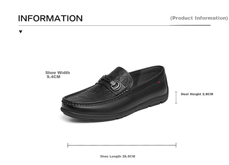 RED DRAGONFLY Genuine Leather Loafers for Men, New High-End Casual Leather Shoes, Soft Sole Slip-On Business Shoes WHA15520 Black Size 40 2
