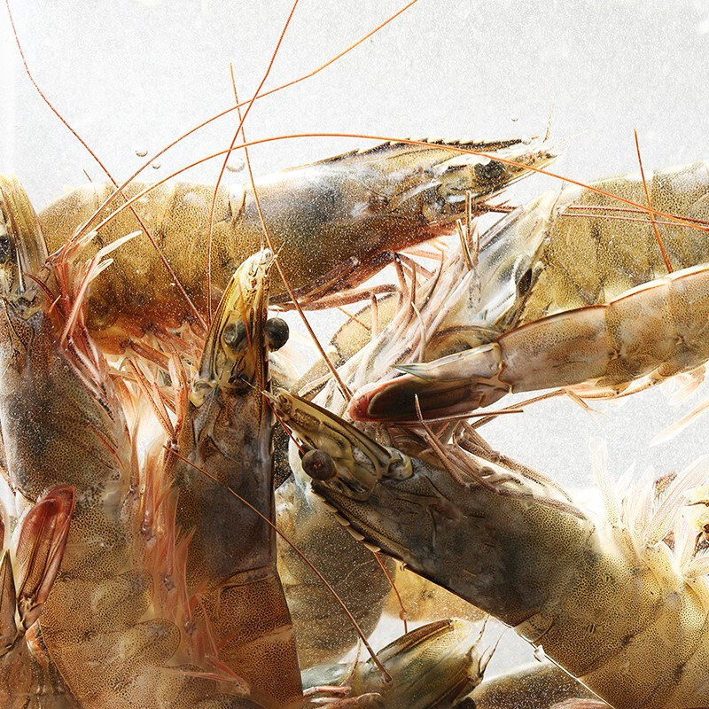 1号会员店（One's Member） 泰国活冻白对虾 海鲜水产 净重2斤 盒装 31-40只