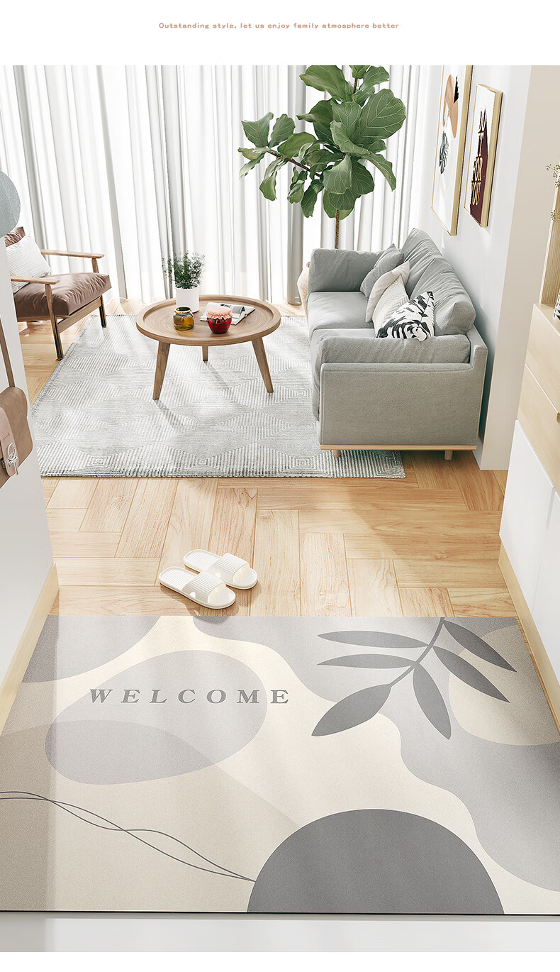 Dajiang Entrance Door Mat, Foot Mat, 2026 New Style, Cuttable Loop Pile Mat, Entrance Doormat, 80x120cm 4