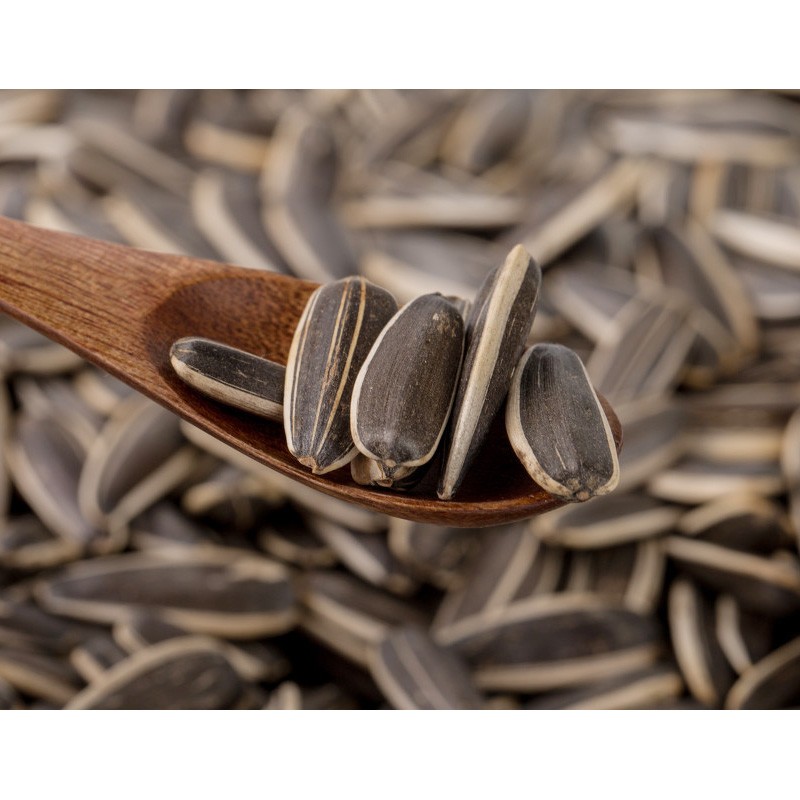 姚生记原香味瓜子500g大颗粒葵花籽休闲零食礼包 每日坚果炒货干果1斤装