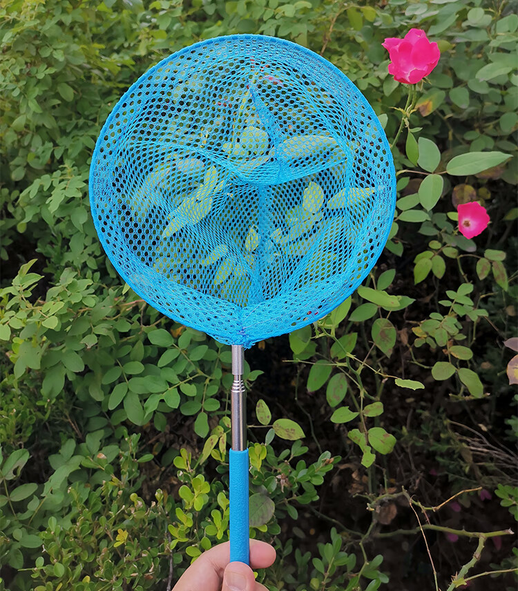 Feimiao Children's Fishing Net, Butterfly Net for Kids, Insect Net, Retractable Fishing Net with Handle, Foldable Small Bucket, Outdoor Fishing Tackle, Fishing Net Toy Combination Set 13