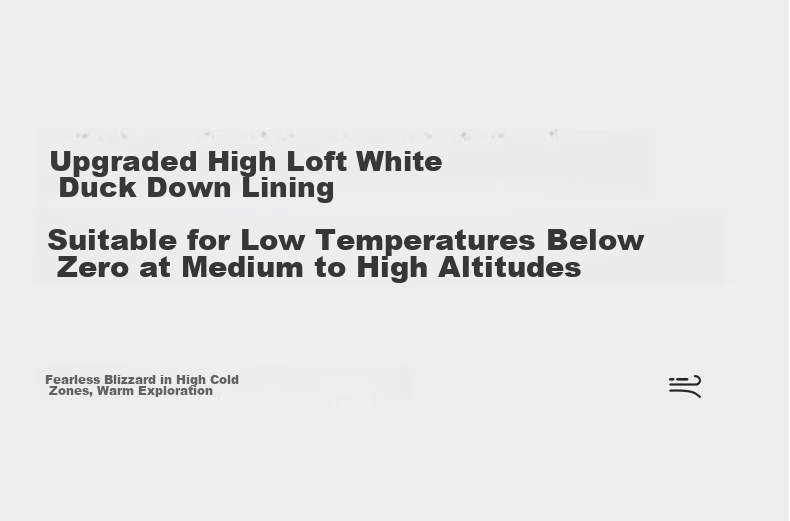 CAMEL Women's 3-in-1 Down Jacket Winter Detachable Liner Waterproof Coat 2