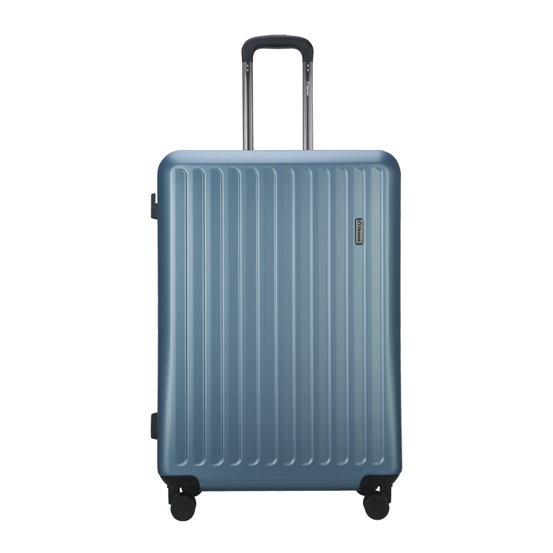 Diplomat Large Capacity Suitcase with Wheels for Men And Women, Spinner Luggage, Frosted Password Lock Travel Case TC-23234