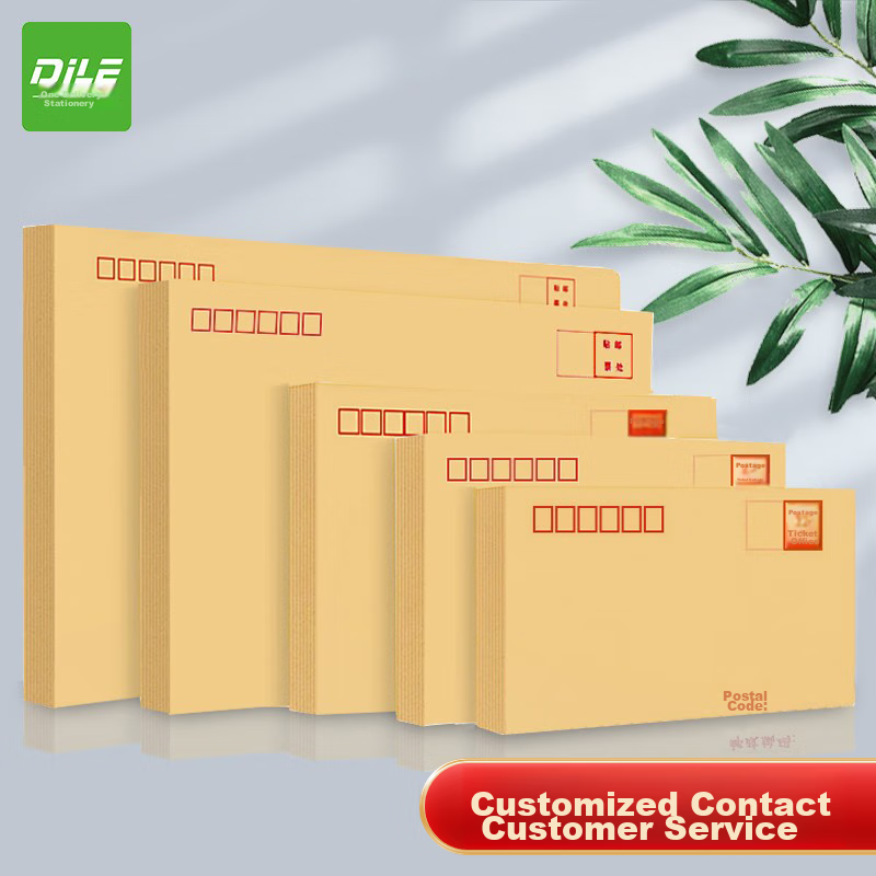 DiLe Premium Series No. 9 Kraft Paper Envelope Bags, Customized Bill And Payroll Envelopes, Standard Kraft Paper Post Office Envelopes, 100 Pieces/pack, 4609