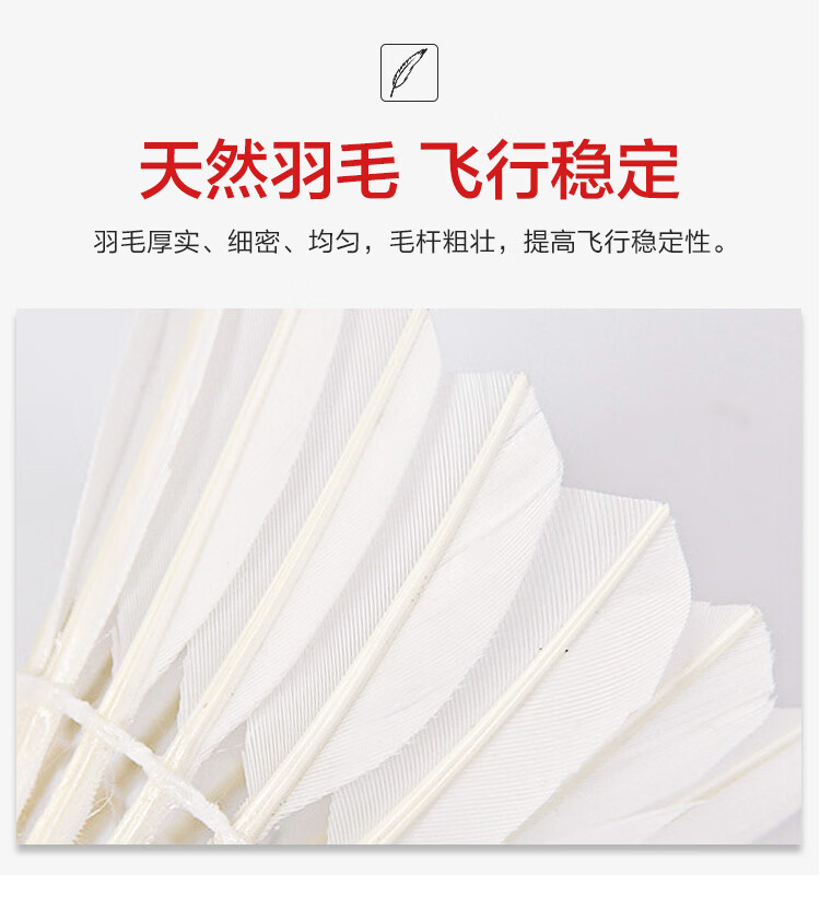 DHS Badminton Shuttlecocks, 12-Pack, Stable Flight, Training And Competition Use, Durable Badminton Shuttles, Model 402 1