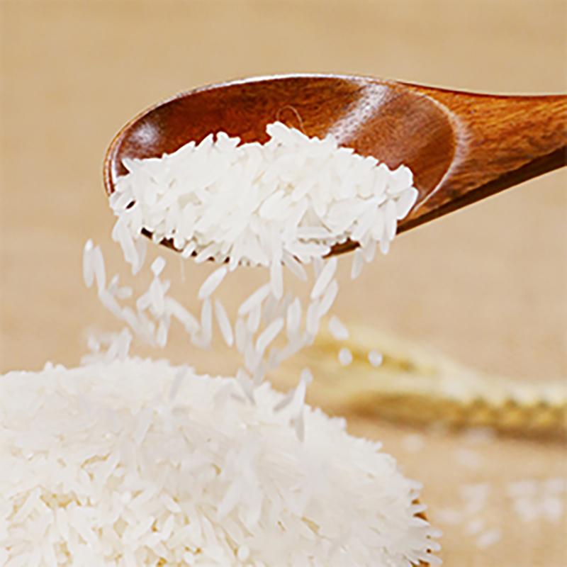 增荔香软丝苗米增城特产 南方籼米 大米10斤