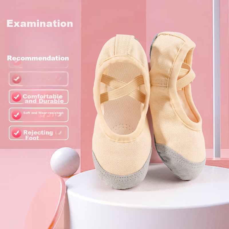 Aiwuge Slip-On Dance Shoes with Soft Soles And Wear-Resistant Materials for Performance Practice, Children's Ballet Shoes for Girls, Flesh Color, Size 31