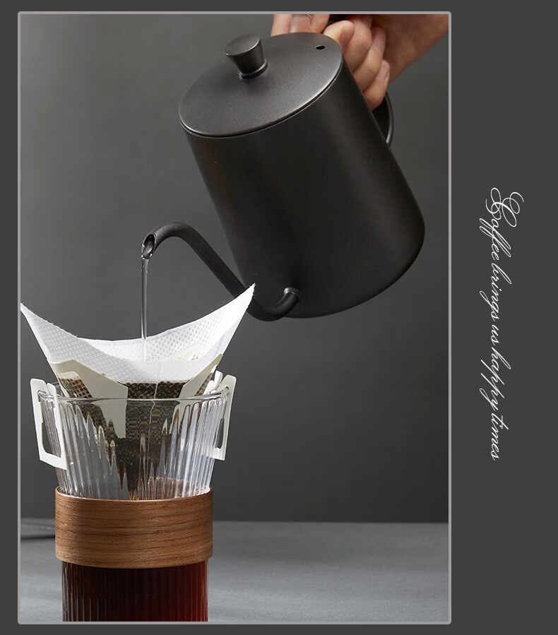TEOTM Pour-Over Kettle with Fine Spout, Home Use Drip Coffee Maker, Narrow-Mouth Kettle, 304 Stainless Steel Pot, Black, 350ml 16