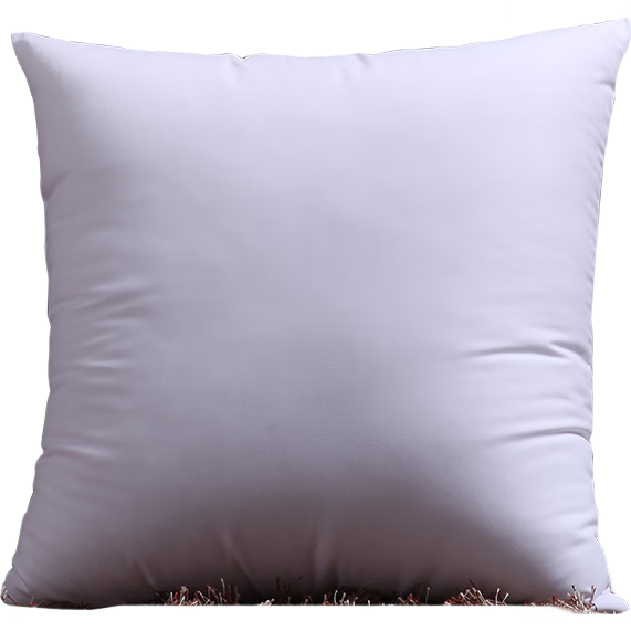 AVIVI Home Textiles High-Elasticity Sofa Cushion Core Car Seat Pad Core Office Chair Pad Core 60*60cm Single Piece