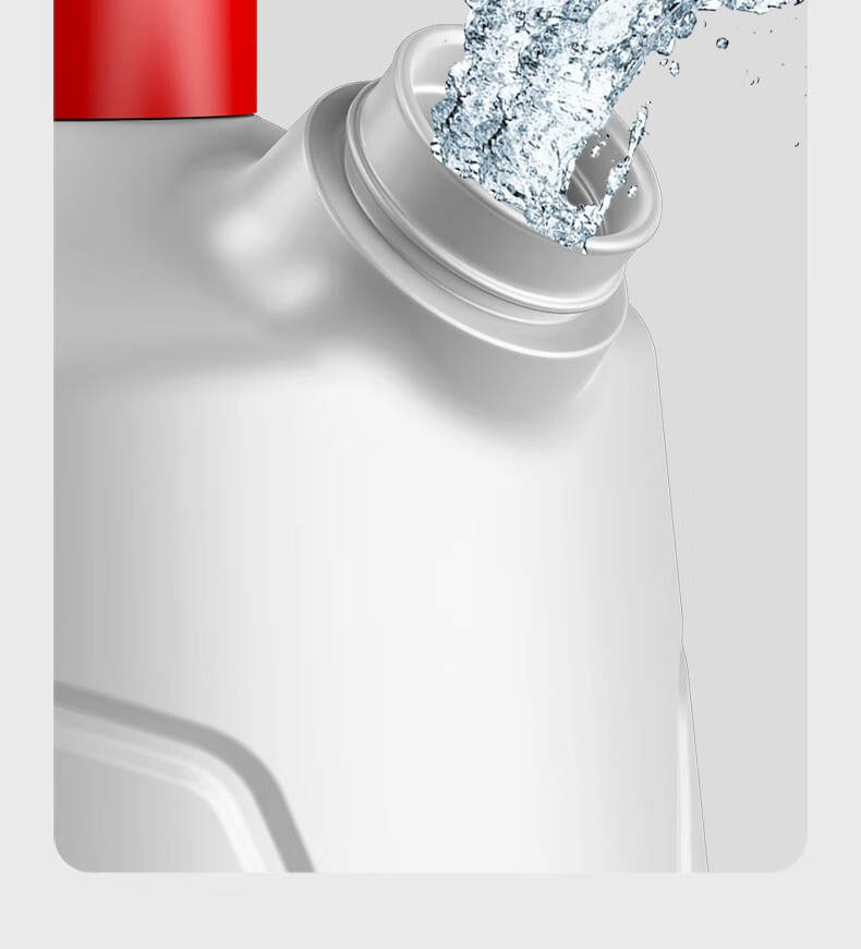 DELIXI ELECTRIC Electric Spray Watering Can Succulent Mist Sprayer Household Small Sprayer for Pesticide and Disinfection 21