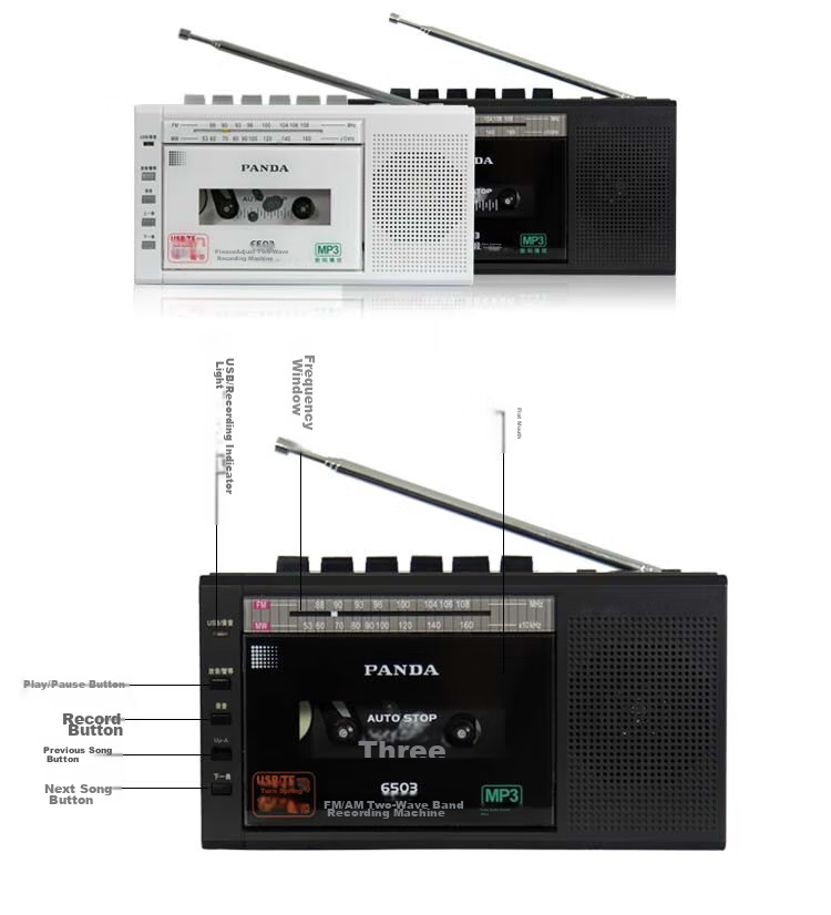 PANDA 6503 Portable Cassette Player, USB Flash Drive, Memory Card Player for Elderly, Tape Recorder, Home English Learning Device, Black 9