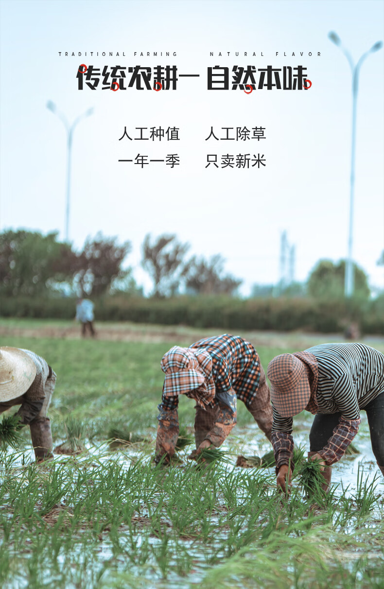 详情图.png