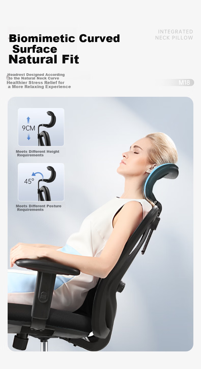 SIHOO M18 Ergonomic Office Chair, Home Computer Chair, Swivel Chair with Four-Way Lumbar Support 8
