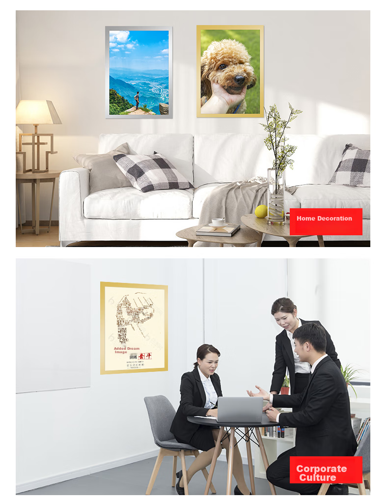 Befon Business License Frame, Magnetic Display A4 Holder, No Drilling Required, Strong Magnetic Attachment, Ready to Use, Specially Designed for Licenses, Photo Poster Protective Frame, Silver 5498 9