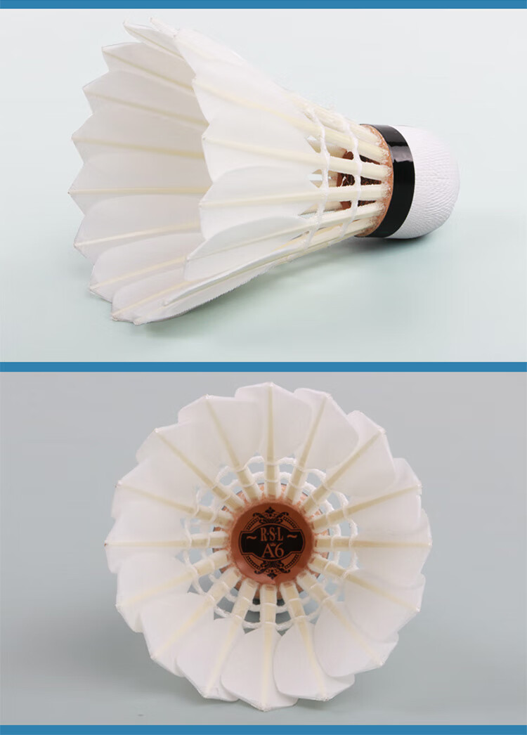 RSL Badminton Shuttlecocks for Training And Competition, Stable And Durable, RSL-A6 Speed 76, 12 Per Tube 9