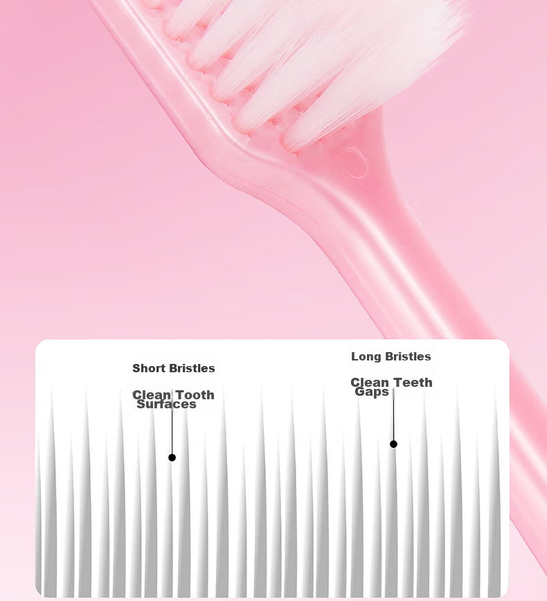 EBISU Soft Bristle Gum Care Fresh Breath Toothbrush for Adults, Couples, Pregnant Women, Japanese Import, 2-Pack, Random Colors 20