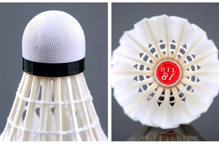 RSL Badminton Training Practice Competition Shuttlecock, DTL-81, Speed 76, 12 Pieces Per Tube 7
